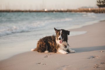 002b263ff910cfa93e67b2744ddcfd31