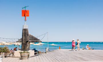 Art Collection and Public Art