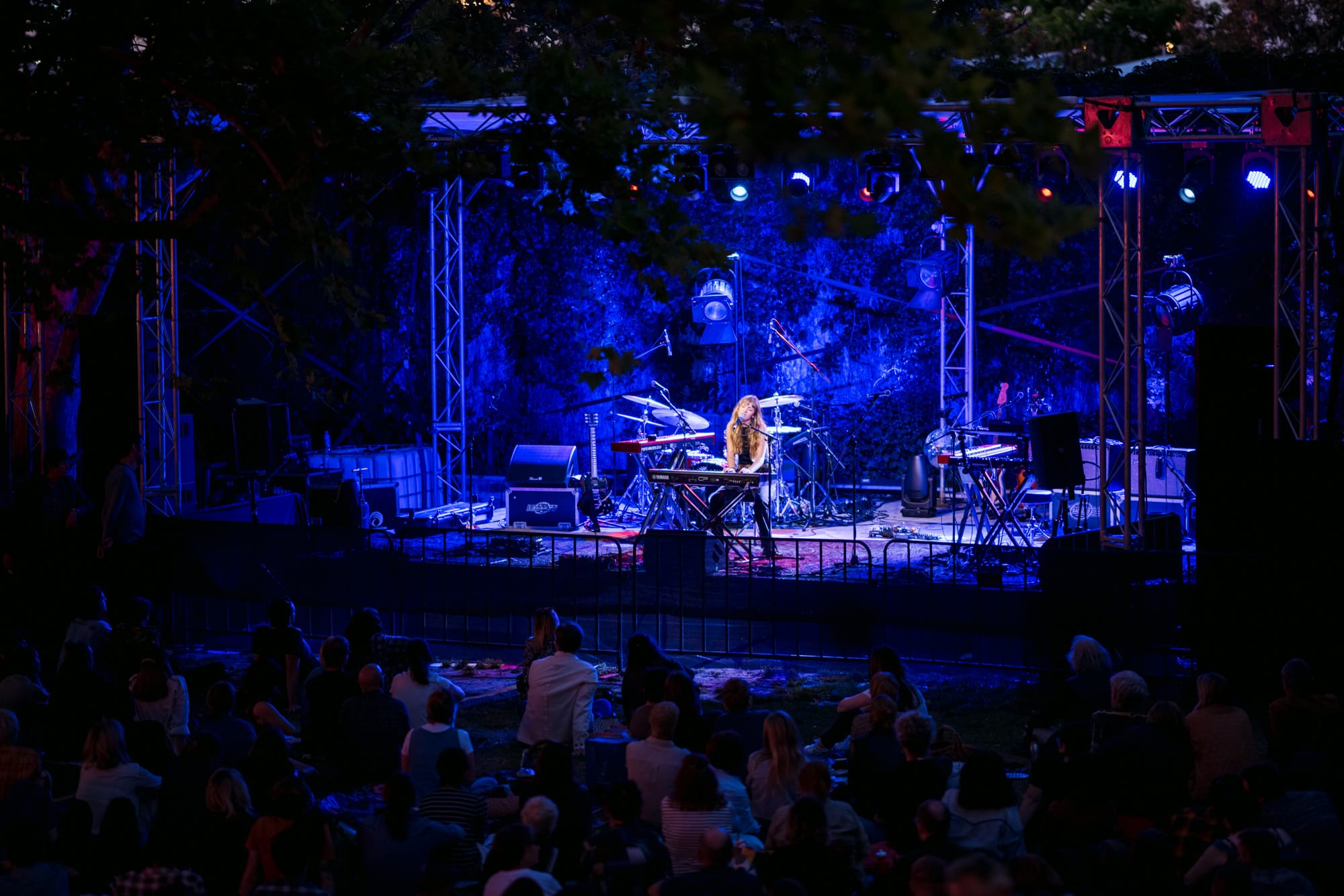 A musician plays keyboard on an outdoor stage lit with blue and purple lights at night, while an audience sits on the grass watching the performance.